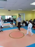 Миниатюра 4
