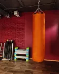 Миниатюра 6