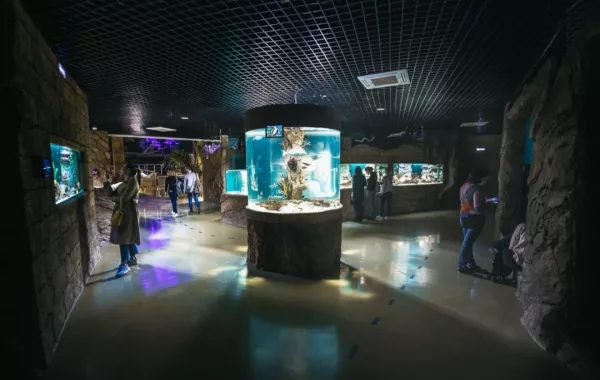 Океанариум Екатеринбурга