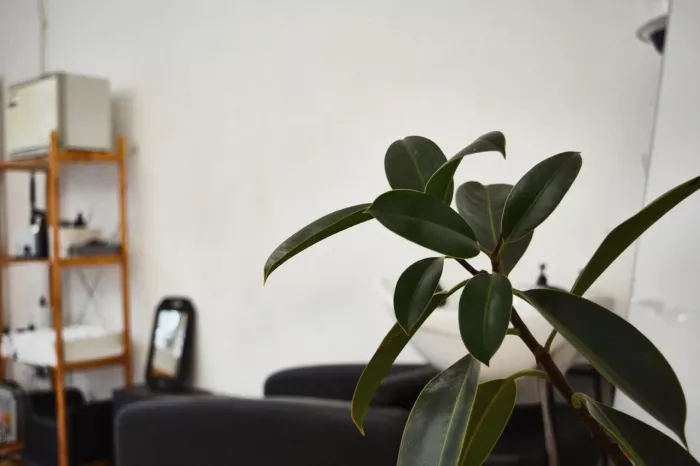 Барбершоп "Surecut"