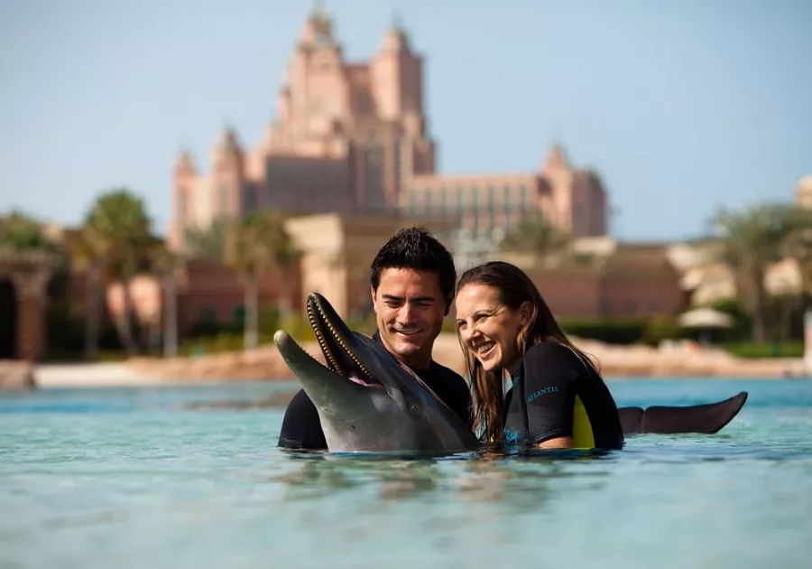 Дельфинарий Dolphin в Дубаи: Дельфины , Погружение с дельфинами , Дельфинарий , Плавание с дельфинами , Водные развлечения ,