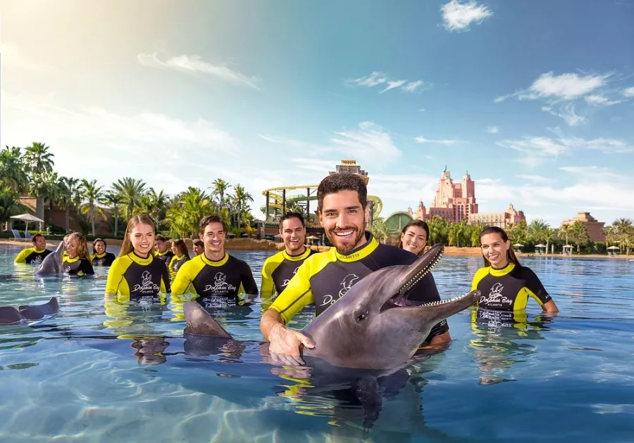 Дельфинарий Dolphin в Дубаи: Дельфины , Погружение с дельфинами , Дельфинарий , Плавание с дельфинами , Водные развлечения ,