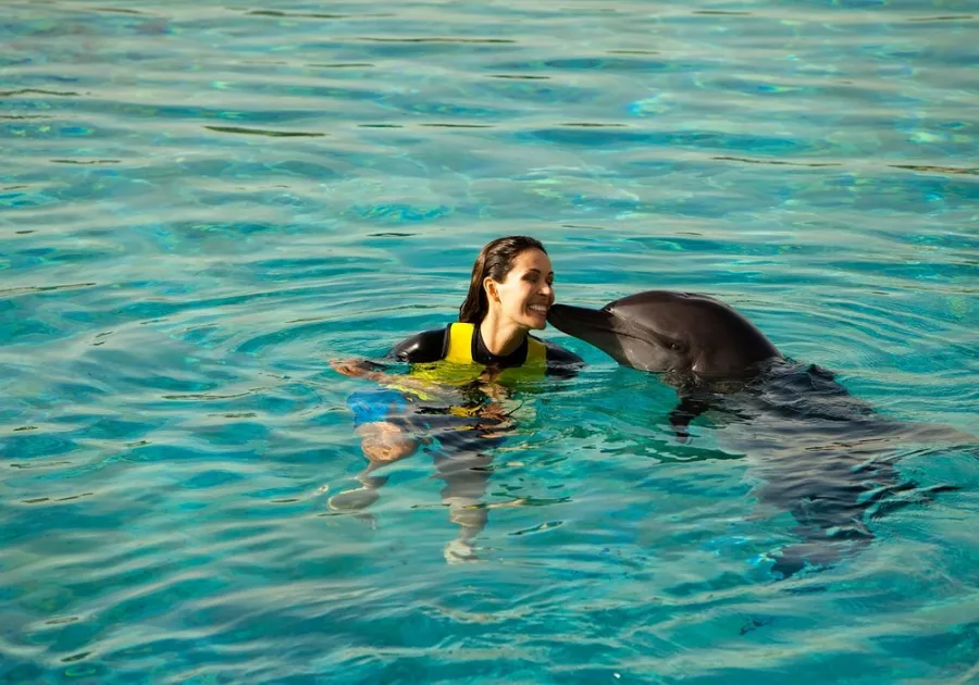 Дельфинарий Dolphin в Дубаи: Дельфины , Погружение с дельфинами , Дельфинарий , Плавание с дельфинами , Водные развлечения ,