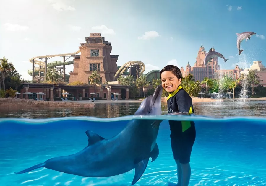 Дельфинарий Dolphin в Дубаи: Дельфины , Погружение с дельфинами , Дельфинарий , Плавание с дельфинами , Водные развлечения ,