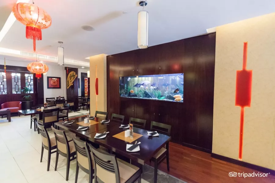 Отель Citymax Bur Dubai 3* в Дубаи: Трехзвездочный отель , Бассейн , Комфортные номера , Фитнес , Конференц-зал, Ресторан,