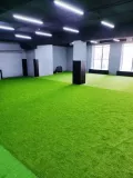 Миниатюра 11