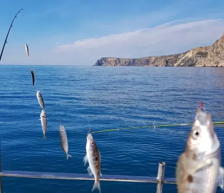 Морская рыбалка в Анапе.