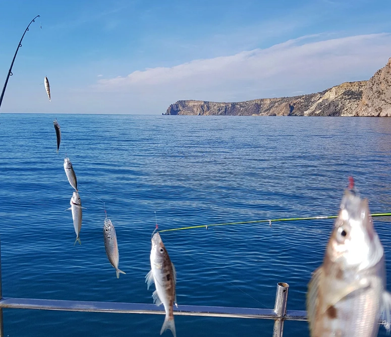 Морская рыбалка в Анапе в Анапе: Вода, Развлечение, Рыбалка,