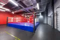 Миниатюра 9