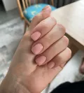 Миниатюра 7