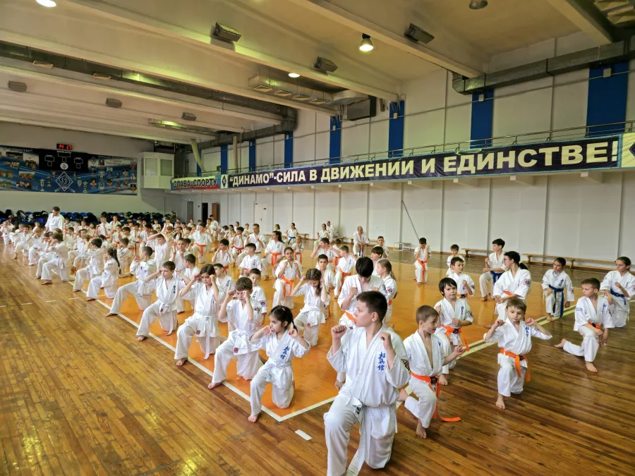 Каратэ Кёкусин-кан Краснодарского края - КРОК в Краснодаре: Развиваться, Дисциплина, Каратэ, Самозащита, Соревнования, Следить за здоровьем, Дети,