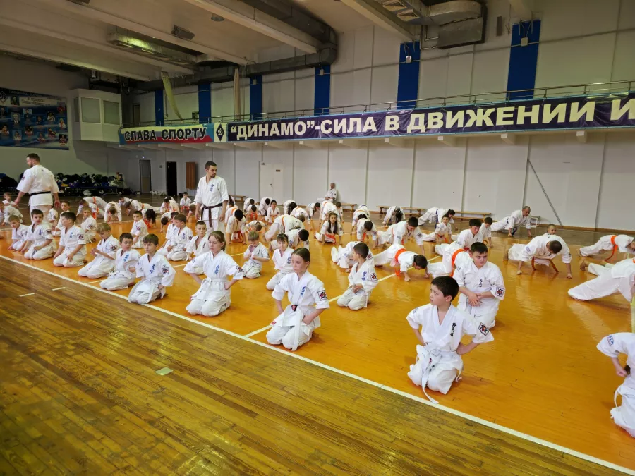 Каратэ Кёкусин-кан Краснодарского края - КРОК в Краснодаре: Развиваться, Дисциплина, Каратэ, Самозащита, Соревнования, Следить за здоровьем, Дети,