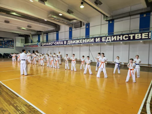 Каратэ Кёкусин-кан Краснодарского края - КРОК