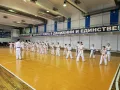 Миниатюра 8