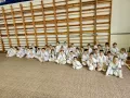 Миниатюра 9