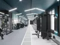 Миниатюра 5
