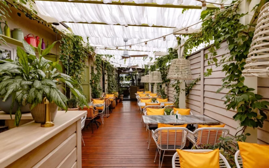 Ресторан Чо чо в Краснодаре: Еда, Русская кухня, Завтрак, Заказ столиков, Европейская кухня, Паназиатская кухня, Заказ навынос,