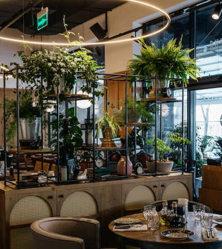 Ресторан Сыроварня в Краснодаре: Еда, Заказ навынос, Летняя терраса, Заказ столиков, Итальянская кухня,