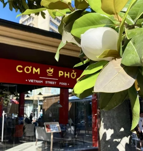 Кафе Com pho  в  Сочи