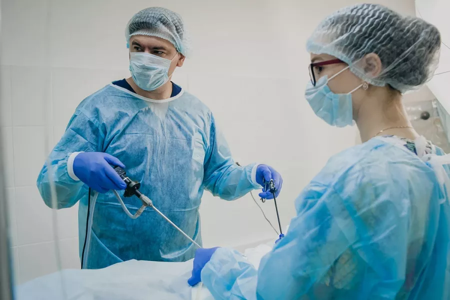 Ветеринарная клиника Большая Медведица в Краснодаре: Врач, Лечение, Услуги, Консультация , Животные,