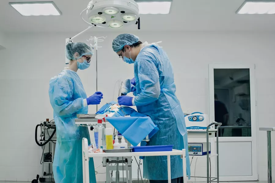 Ветеринарная клиника Большая Медведица в Краснодаре: Врач, Лечение, Услуги, Консультация , Животные,