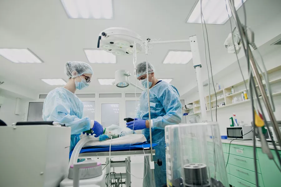 Ветеринарная клиника Большая Медведица в Краснодаре: Врач, Лечение, Услуги, Консультация , Животные,