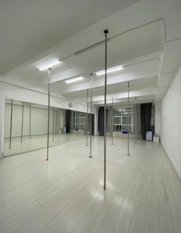 Студия танцев, йоги и фитнеса Shark Pole Studio в Москве: Пилатес, Йога, Стретчинг, Женский зал, Танцевальные программы,