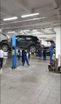 Миниатюра 13