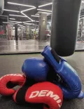 Миниатюра 5