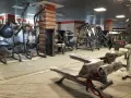 Миниатюра 11