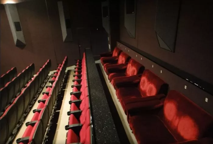 Кинотеатр "Дом кино".