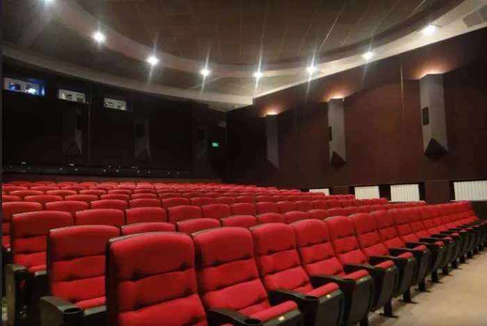 Кинотеатр "Дом кино".