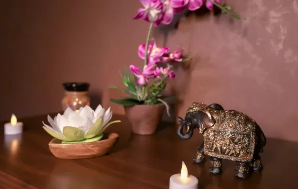 Сеть массажных салонов "Crown Thai SPA".
