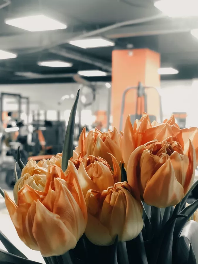 Фитнес-клуб HardGym в Москве: Разовые посещения, Персональный тренер, Массаж, Сауна,