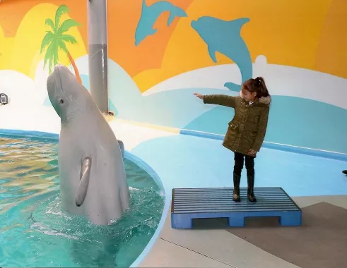 Дельфинарий- "Istanbul Dolphinarium"