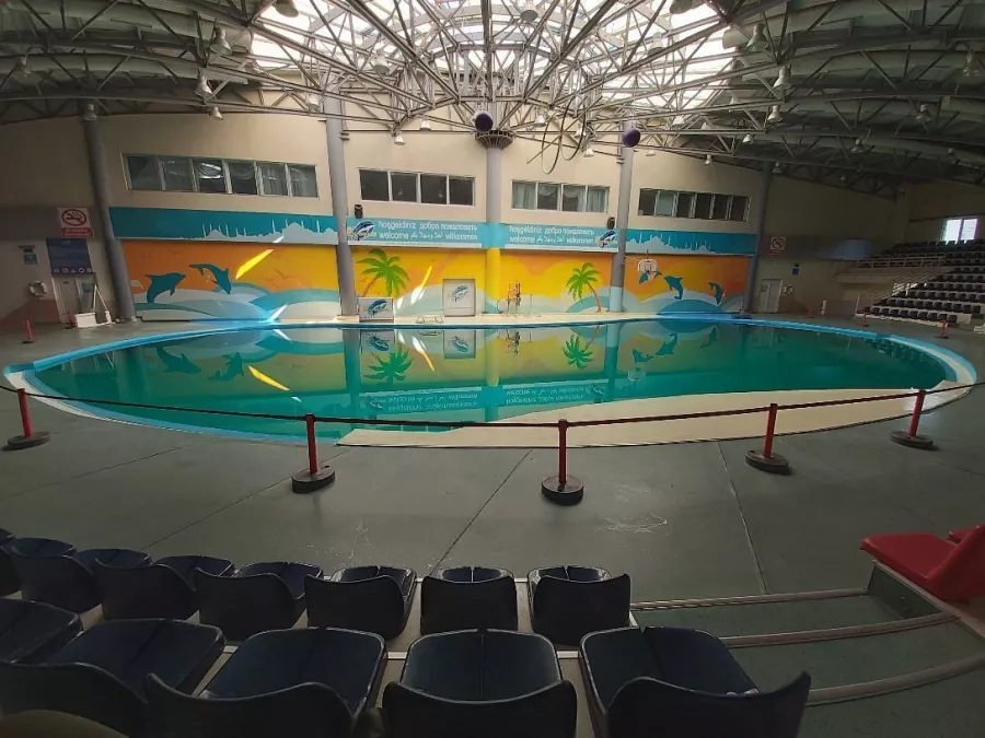 Дельфинарий- Istanbul Dolphinarium в Стамбуле: Дельфинарий, Любимцы, Парк,