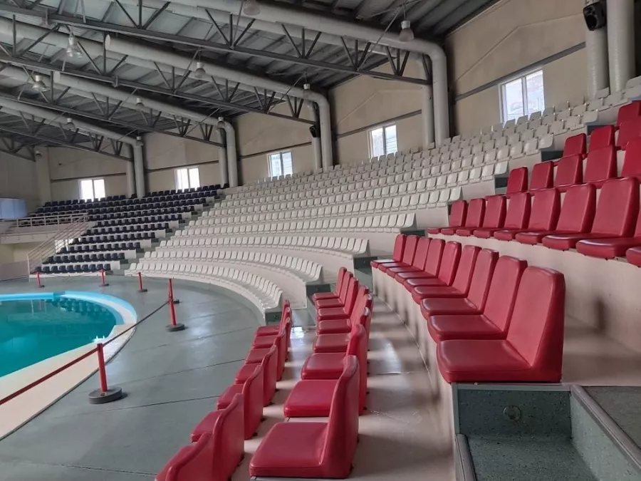 Дельфинарий- Istanbul Dolphinarium в Стамбуле: Дельфинарий, Любимцы, Парк,