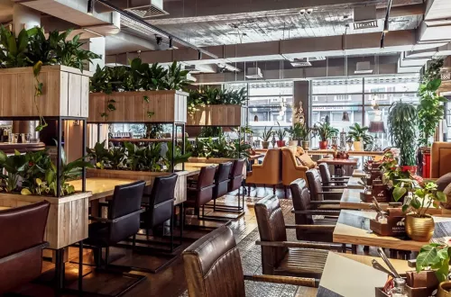 Ресторан Балерина и бифштекс  в  Краснодаре