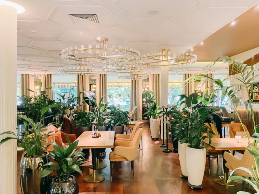 Ресторан Bellini в Краснодаре: Еда, Европейская кухня, Заказ навынос, Заказ столиков, Итальянская кухня,