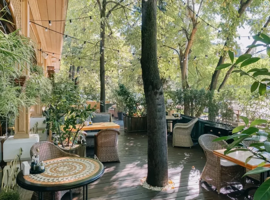 Ресторан Bellini в Краснодаре: Еда, Европейская кухня, Заказ навынос, Заказ столиков, Итальянская кухня,