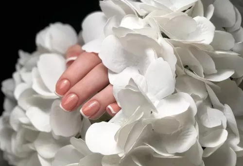 Студия красоты MS & BROW BAR  в  Ростове-на-Дону