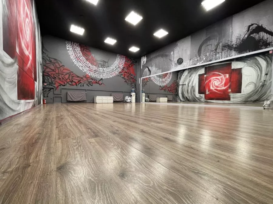 Школа танцев Feminity dance studio в Санкт-Петербурге: Музыка, Хореография, Сальса, Хип-хоп, Тверк,