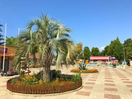 Парк Культуры и Отдыха Адлер  в  Адлере