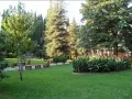 Миниатюра 9