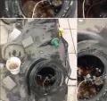 Миниатюра 11