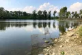 Миниатюра 10