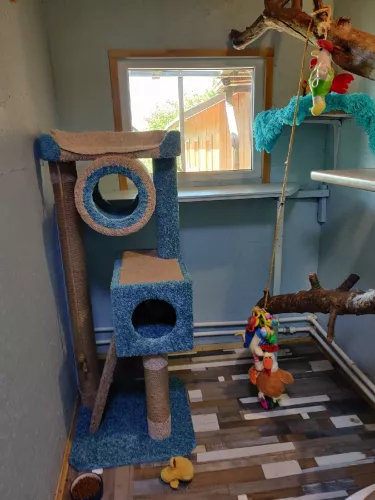 Гостиница для животных Теремок  в  Ростове-на-Дону