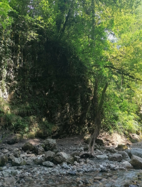 Водопад Ивановский в Сочи: Природа, Релакс, Путешествие,