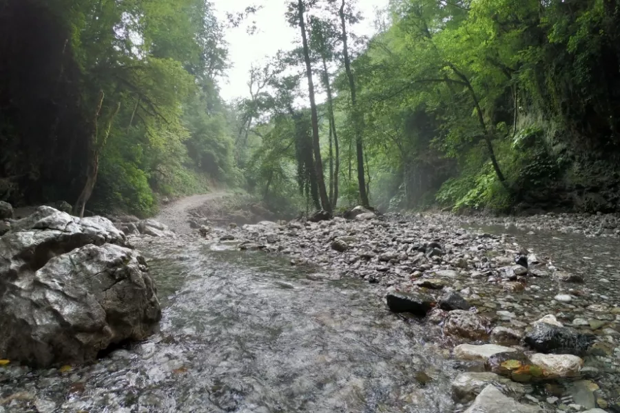 Водопад Ивановский в Сочи: Природа, Релакс, Путешествие,