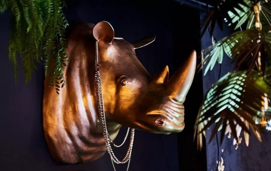 Ресторан-театр The Jungle в Казани: Европейская кухня, Американская кухня, Заказ столиков, Восточная кухня, Итальянская кухня, Азиатская кухня, Винная карта, Танцпол, VIP-зал,